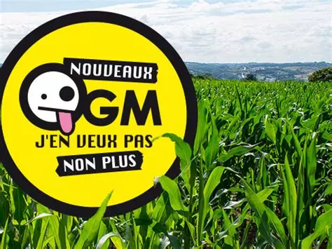 OGM? Oui merci!