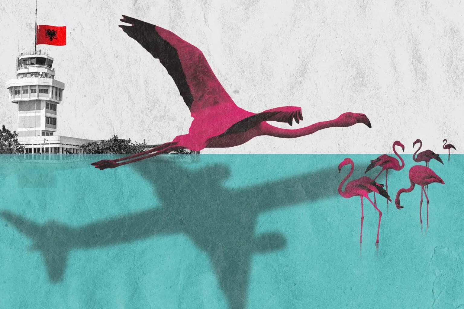 RED FLAMINGOS